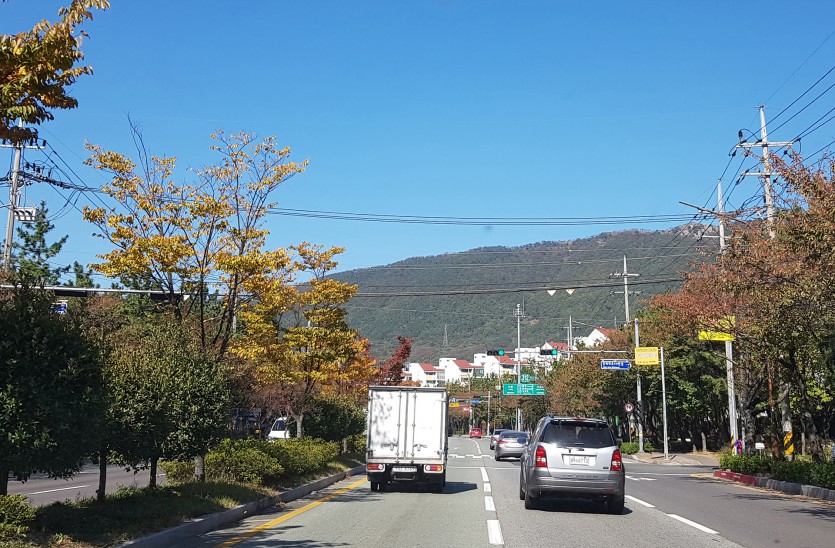 20191031_124904.jpg