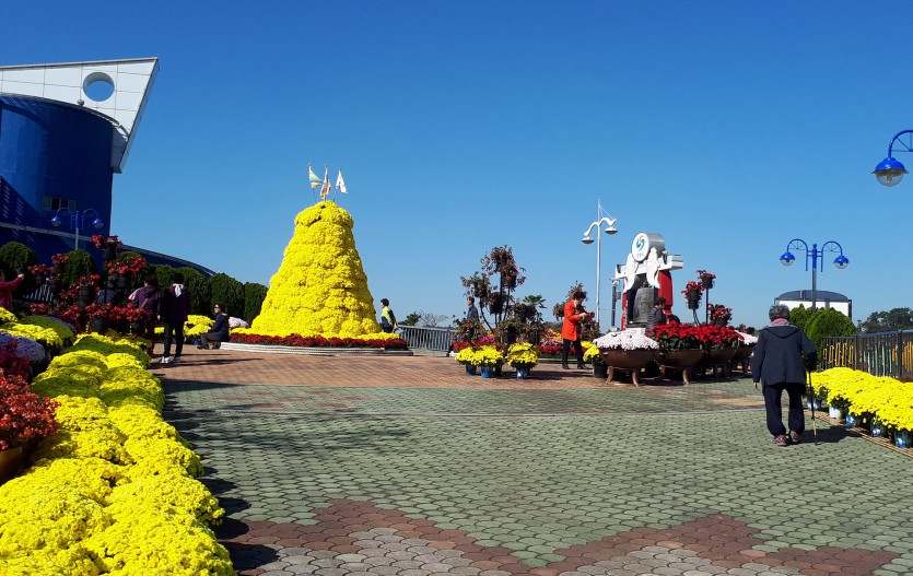 20191031_112914.jpg