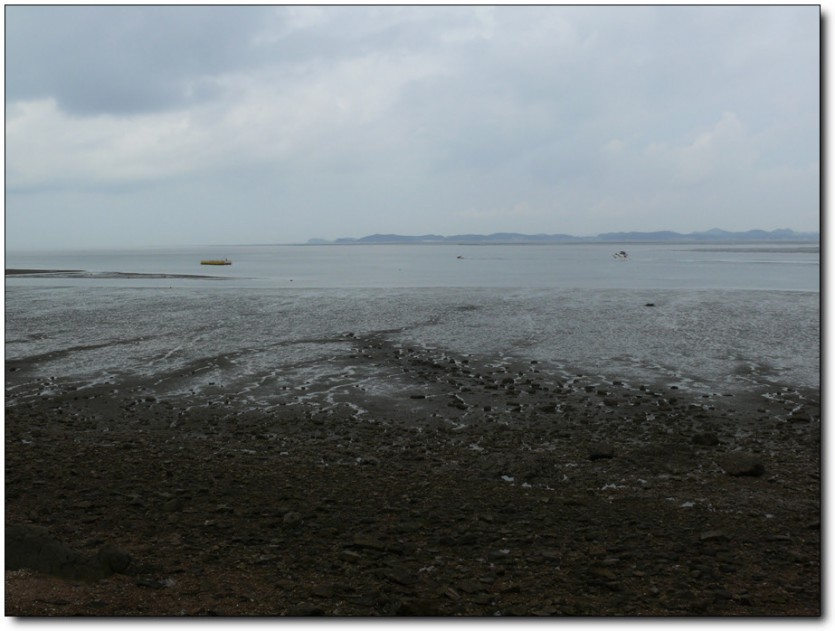 DSCF0328-7.jpg