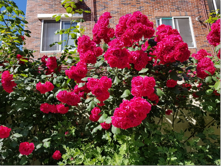 20190517_105412.jpg
