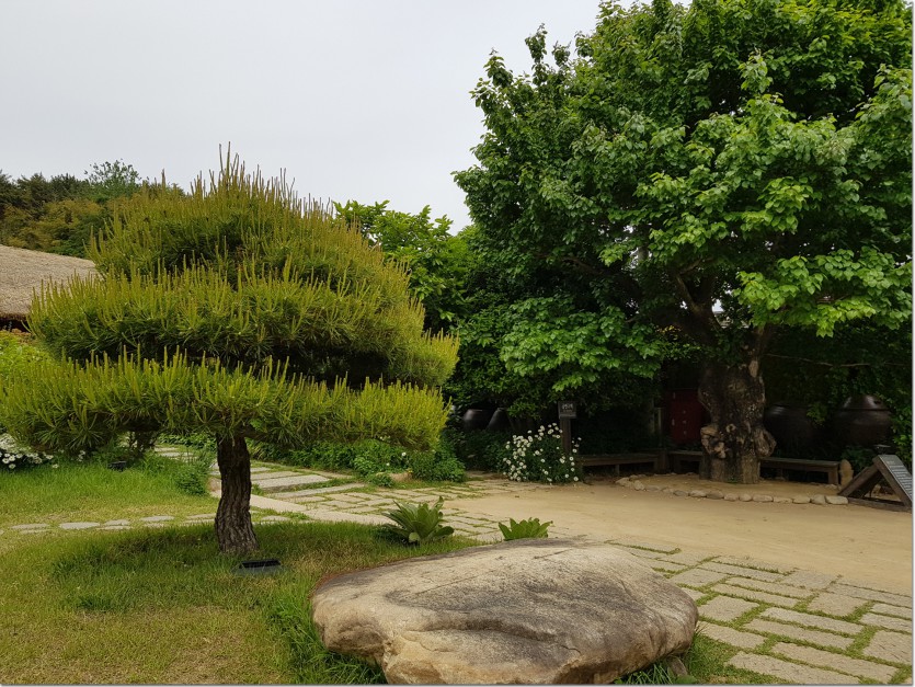 20190517_132320.jpg