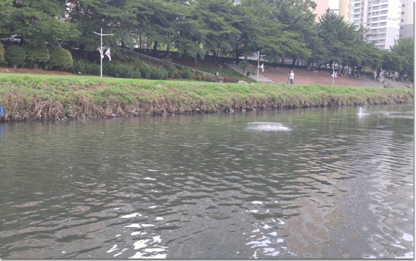 20170708_104757.jpg