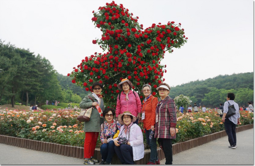 20170524_132622 (2).jpg