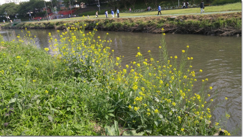20170430_153338.jpg