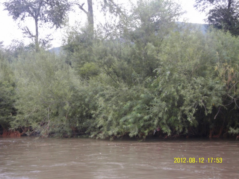 SDC12223.JPG