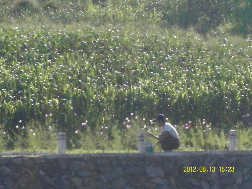 SDC12280.JPG