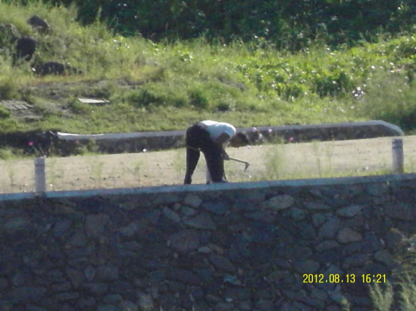SDC12277.JPG