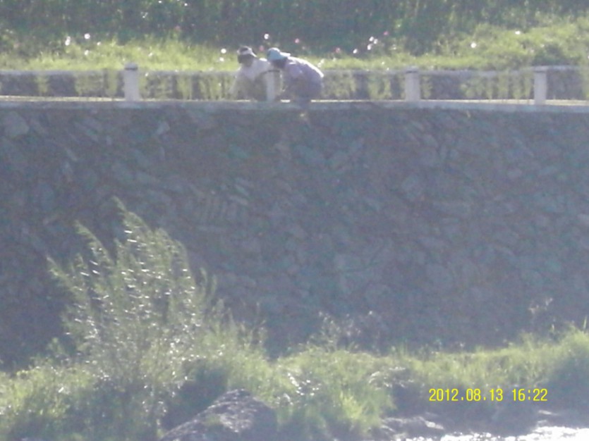SDC12279.JPG