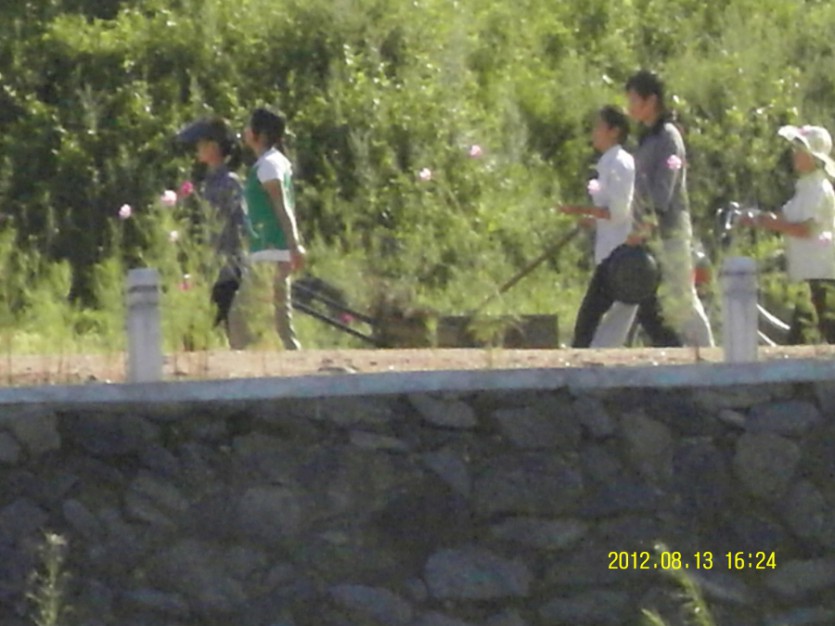 SDC12285.JPG