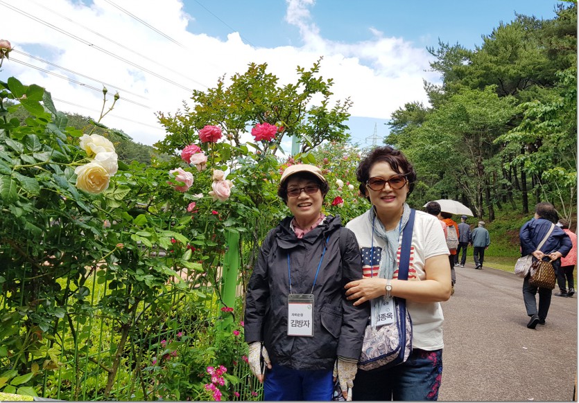 20180523_113540 복사.jpg
