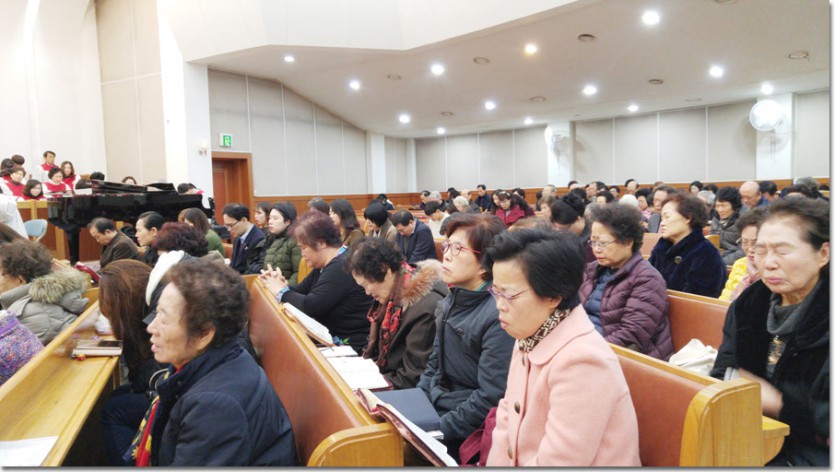 2017.1.8-7.jpg