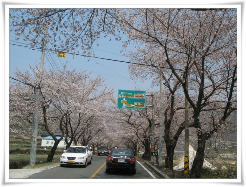 IMG_6137.jpg