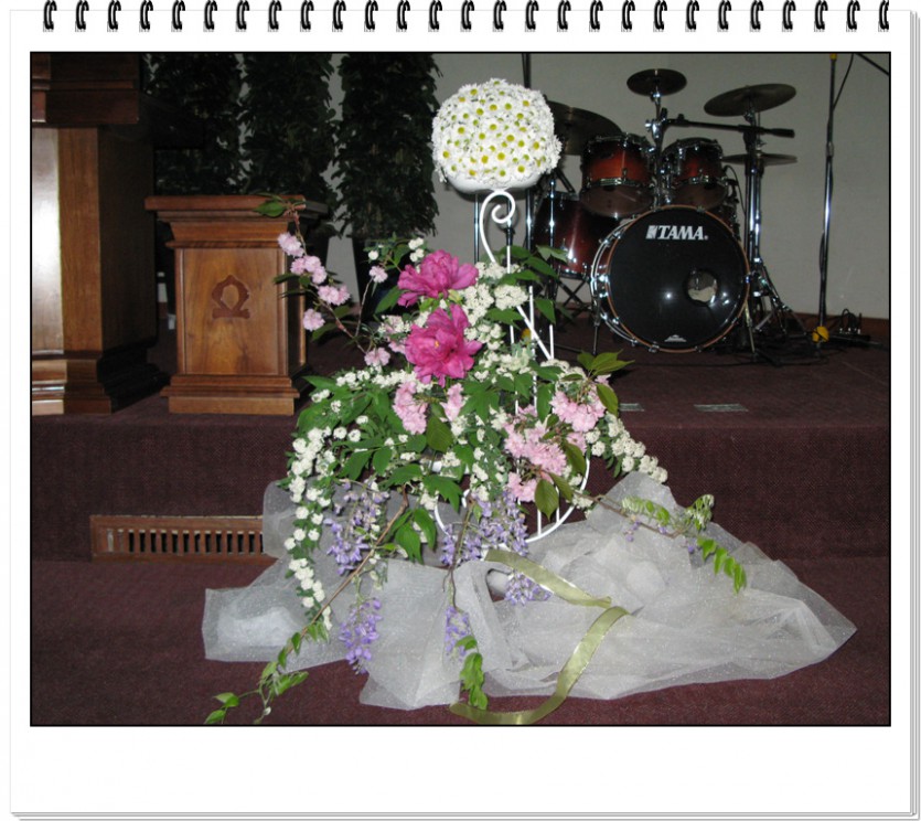 IMG_2163.jpg