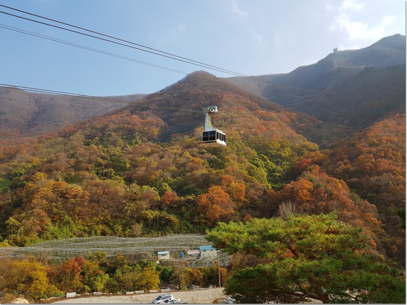 20181109_150825.jpg