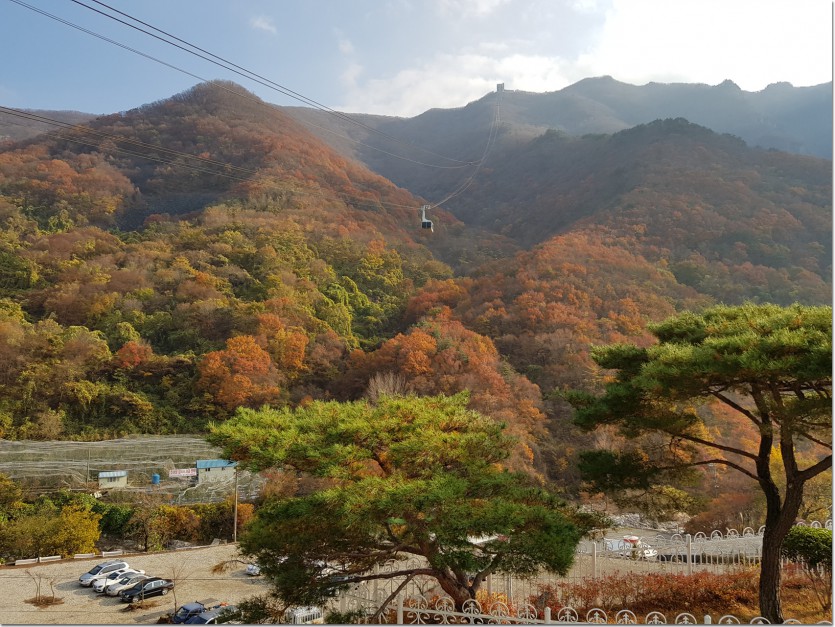 20181109_150741.jpg