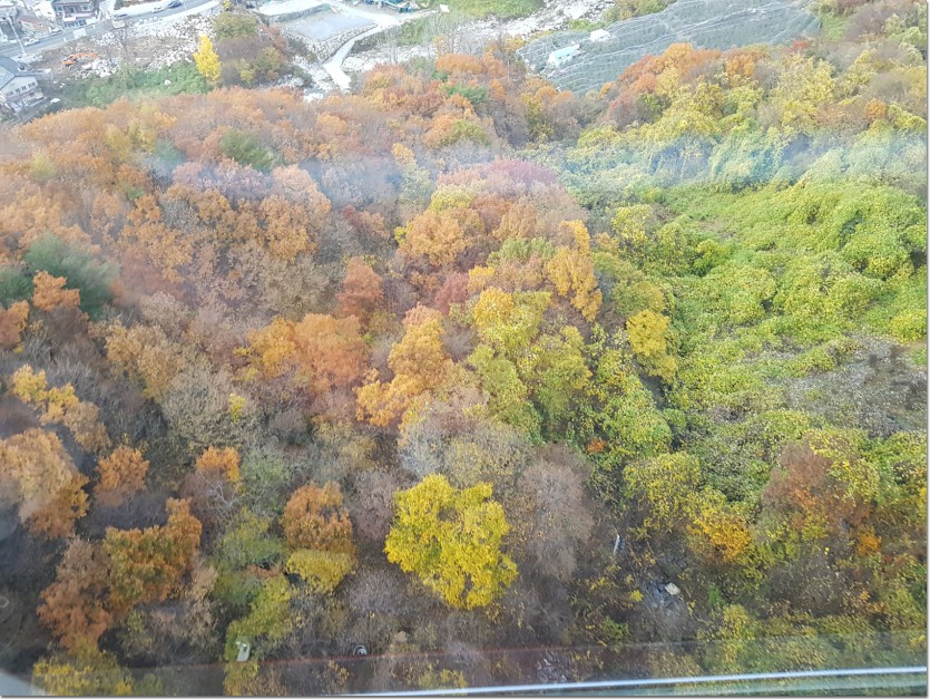 20181109_163853.jpg