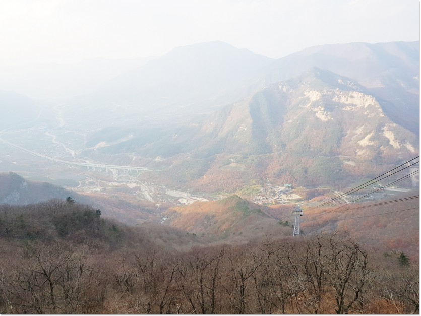 20181109_155347.jpg