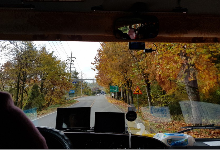 20181109_111001.jpg