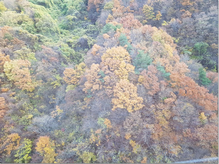 20181109_153927.jpg