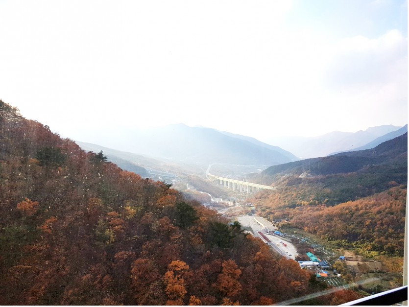 20181109_154144.jpg