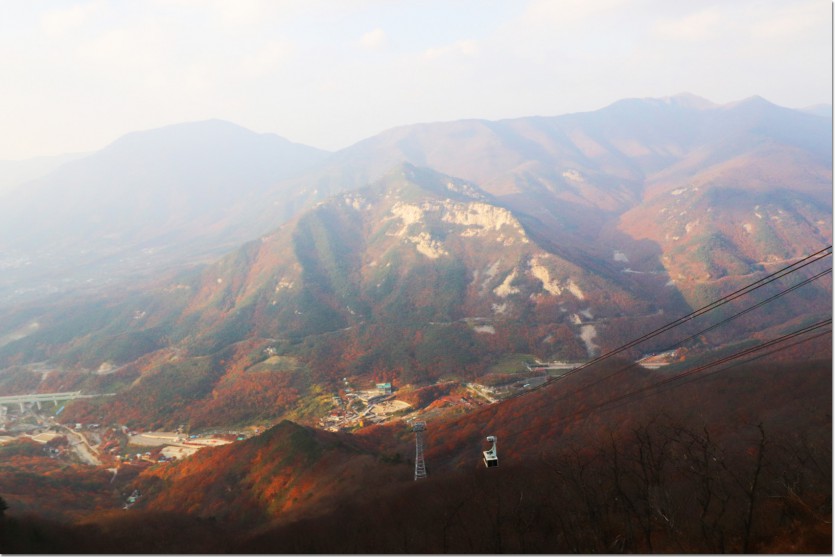 20181109_165058.jpg