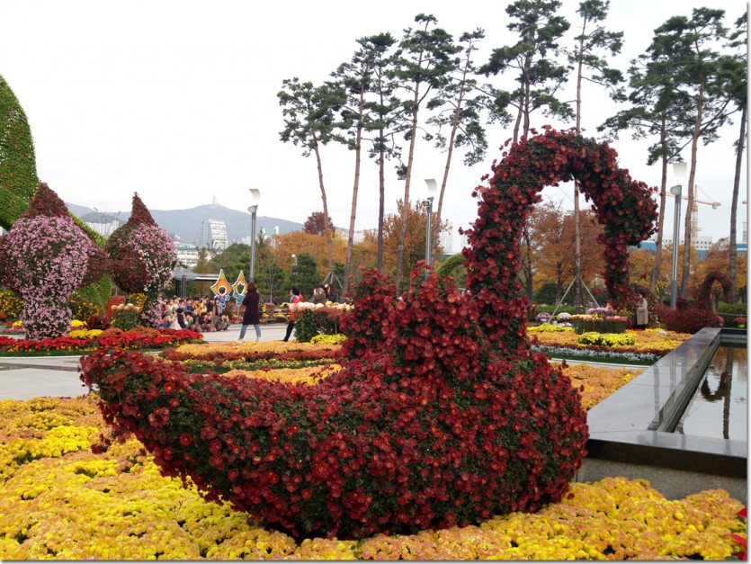 20171110_101454.jpg