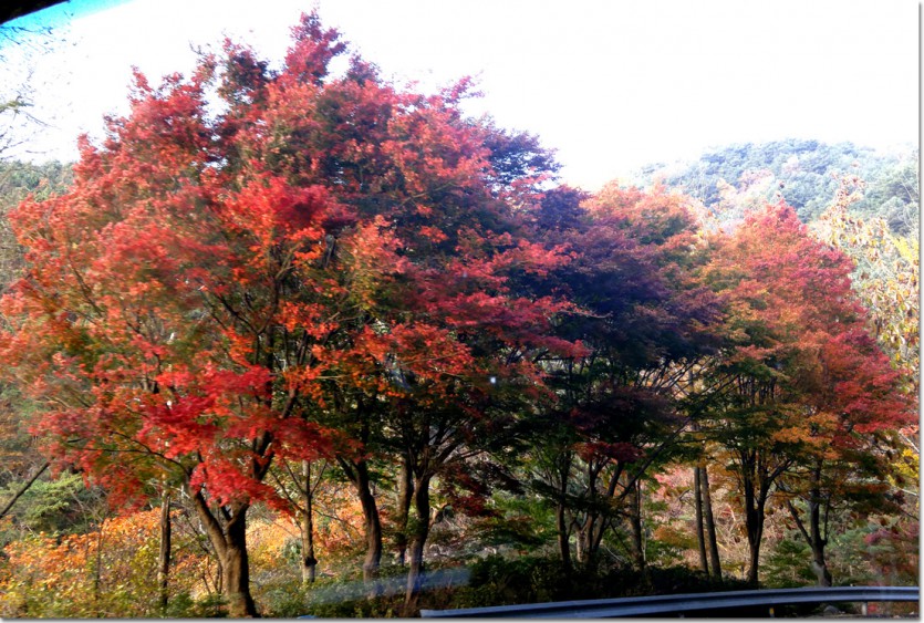 20171110_161353.jpg