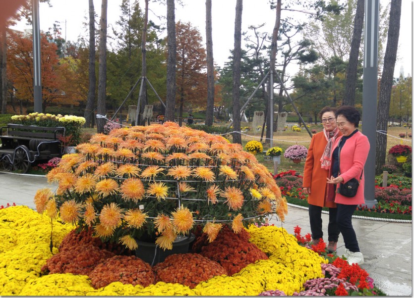 20171110_101435.jpg