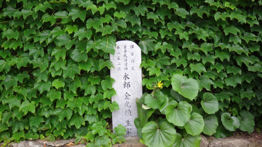 DSC01112.JPG