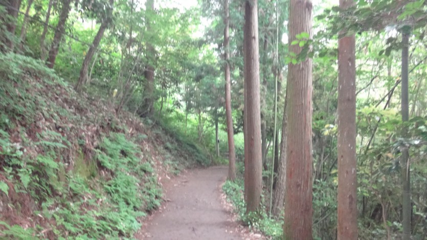 DSC01136.JPG