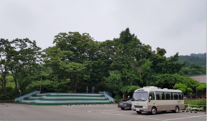 20190828_112948.jpg
