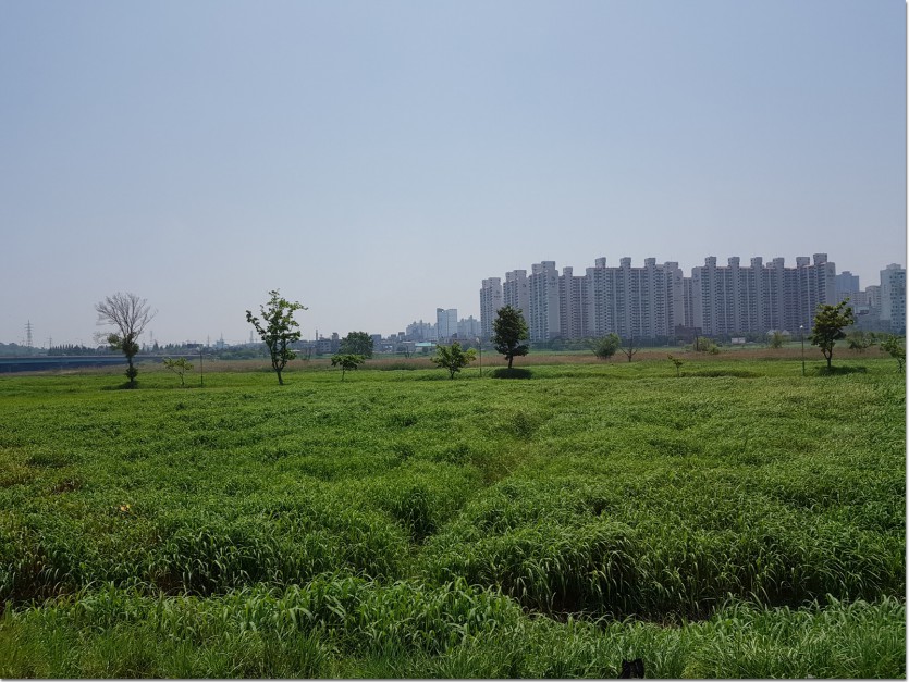 20180514_124515.jpg