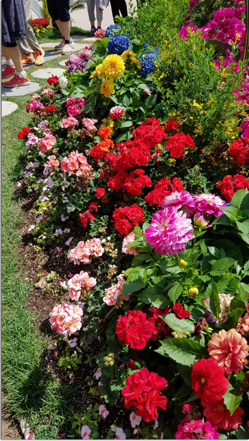 20180514_105700.jpg
