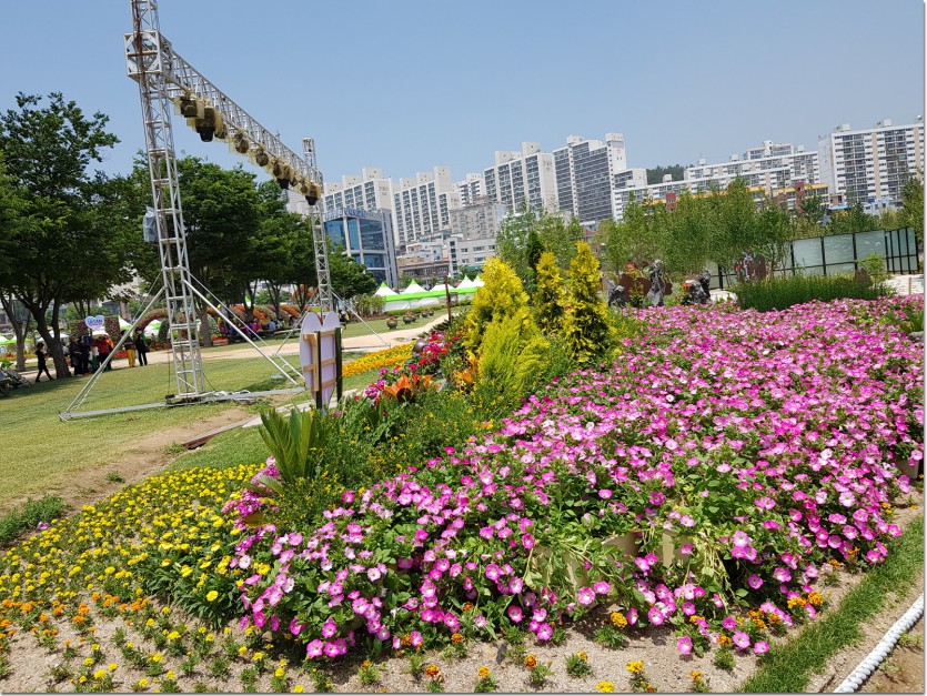 20180514_120858.jpg