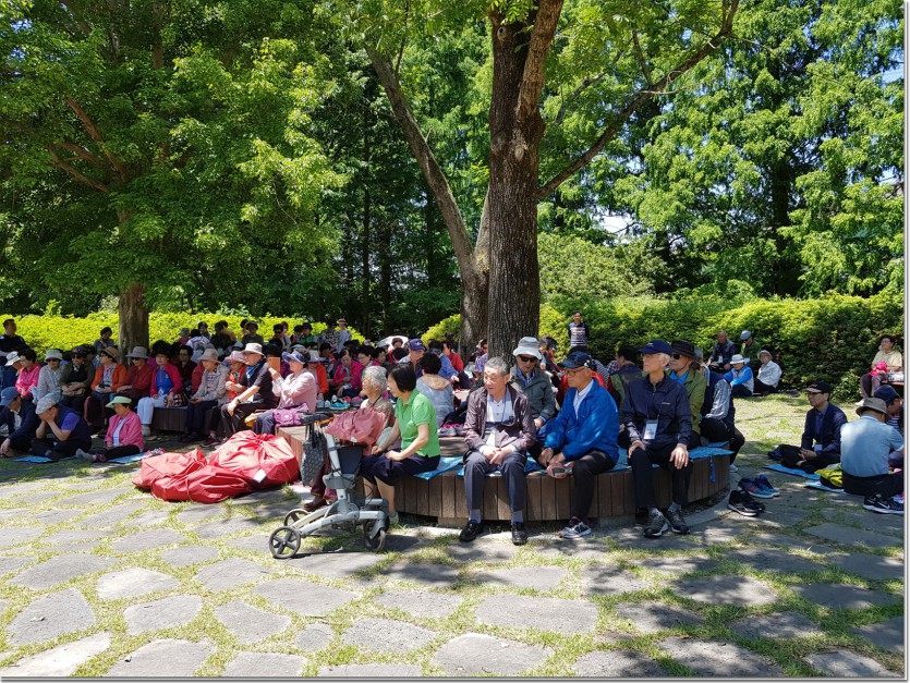 20190522_121516.jpg
