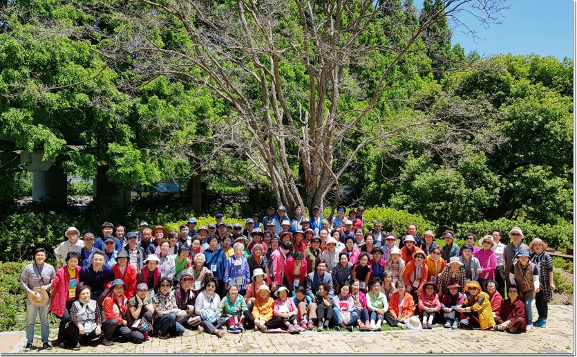 20190522_122607 복사-1.jpg