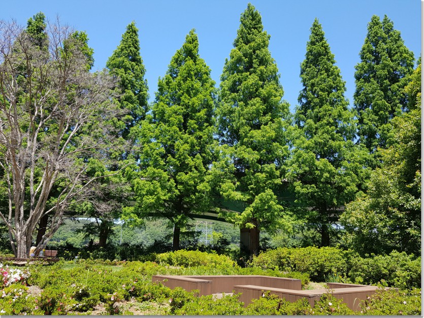 20190522_123349.jpg