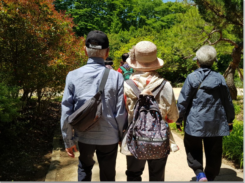 20190522_120429.jpg